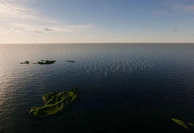 下载 (1).jpg 下载 (1).jpg