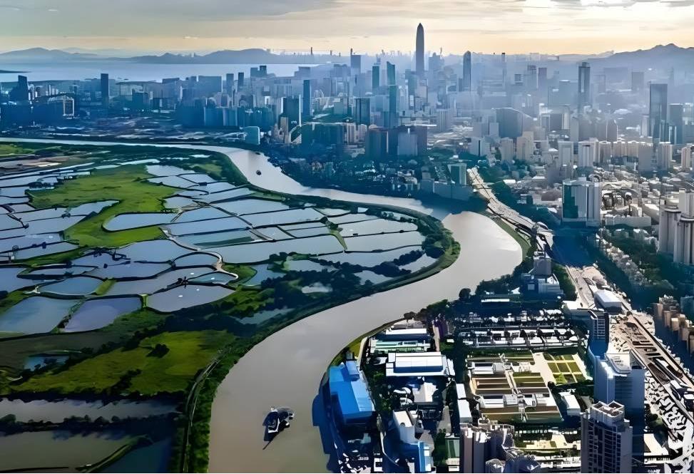 555(2).jpg 555(2).jpg